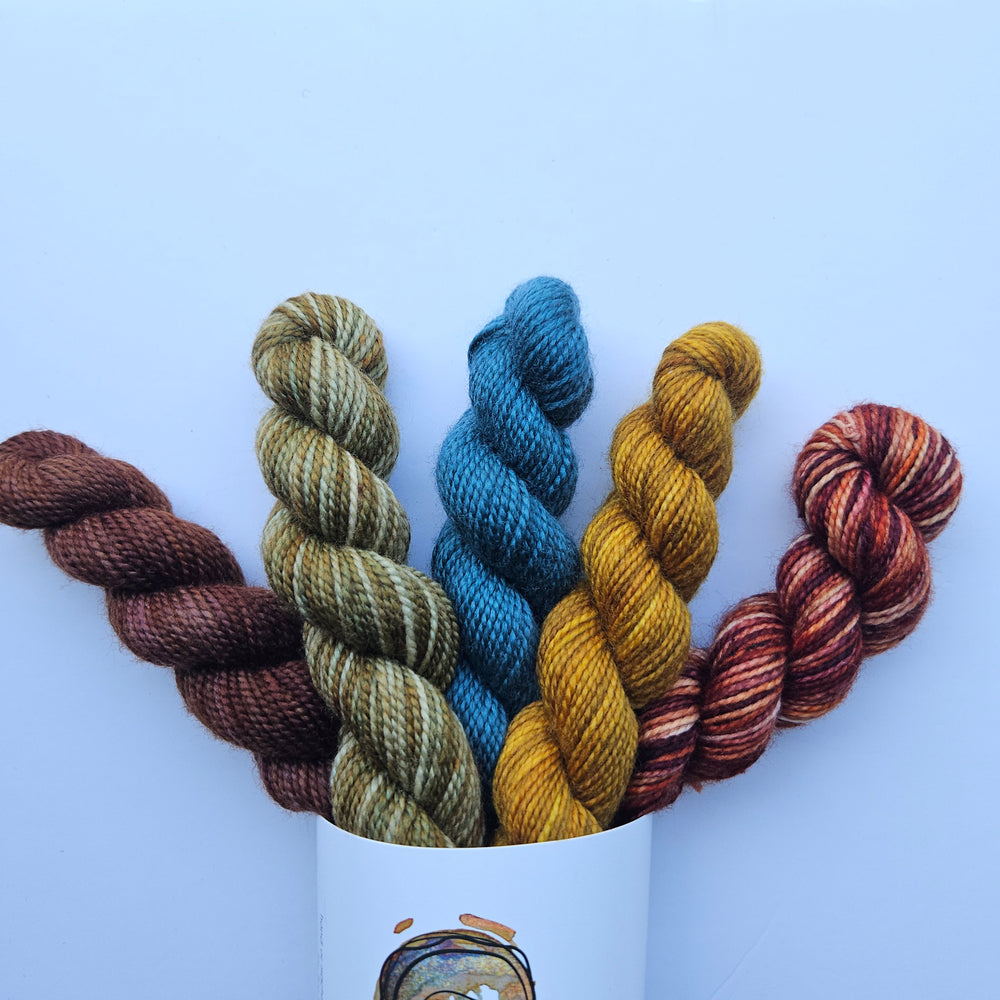 Campfiber Yarns | Set of 5 Minis