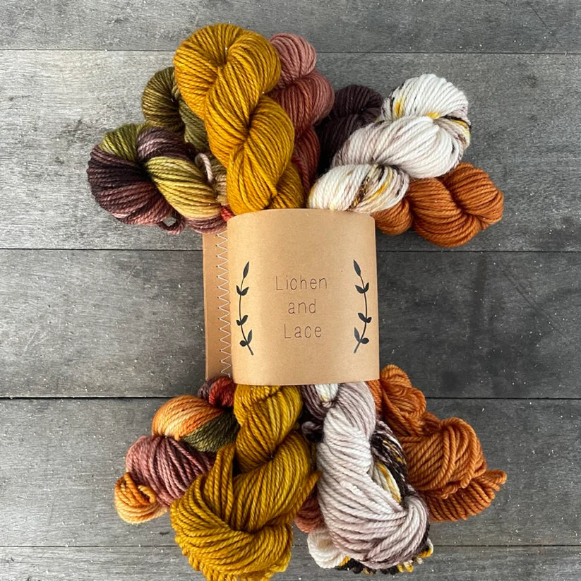 Lichen & Lace | Mini Sock Sets