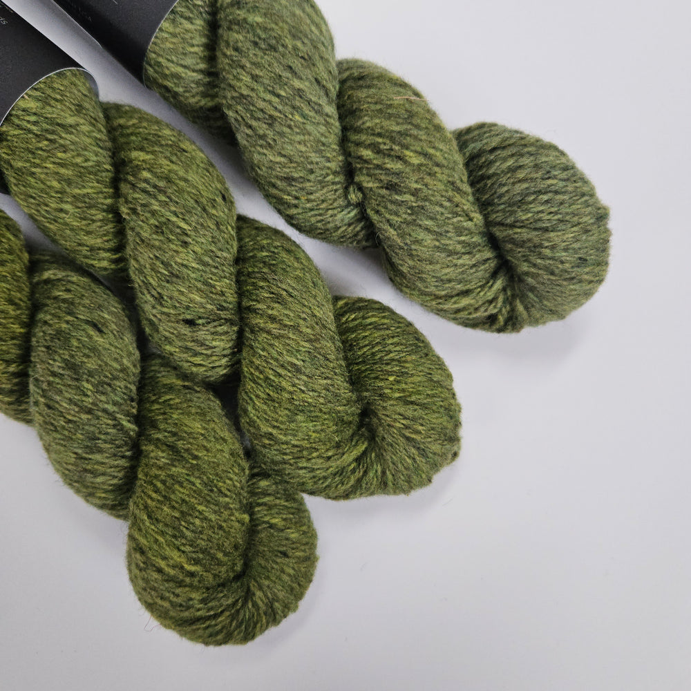 Julie Asselin | Nurtured Worsted