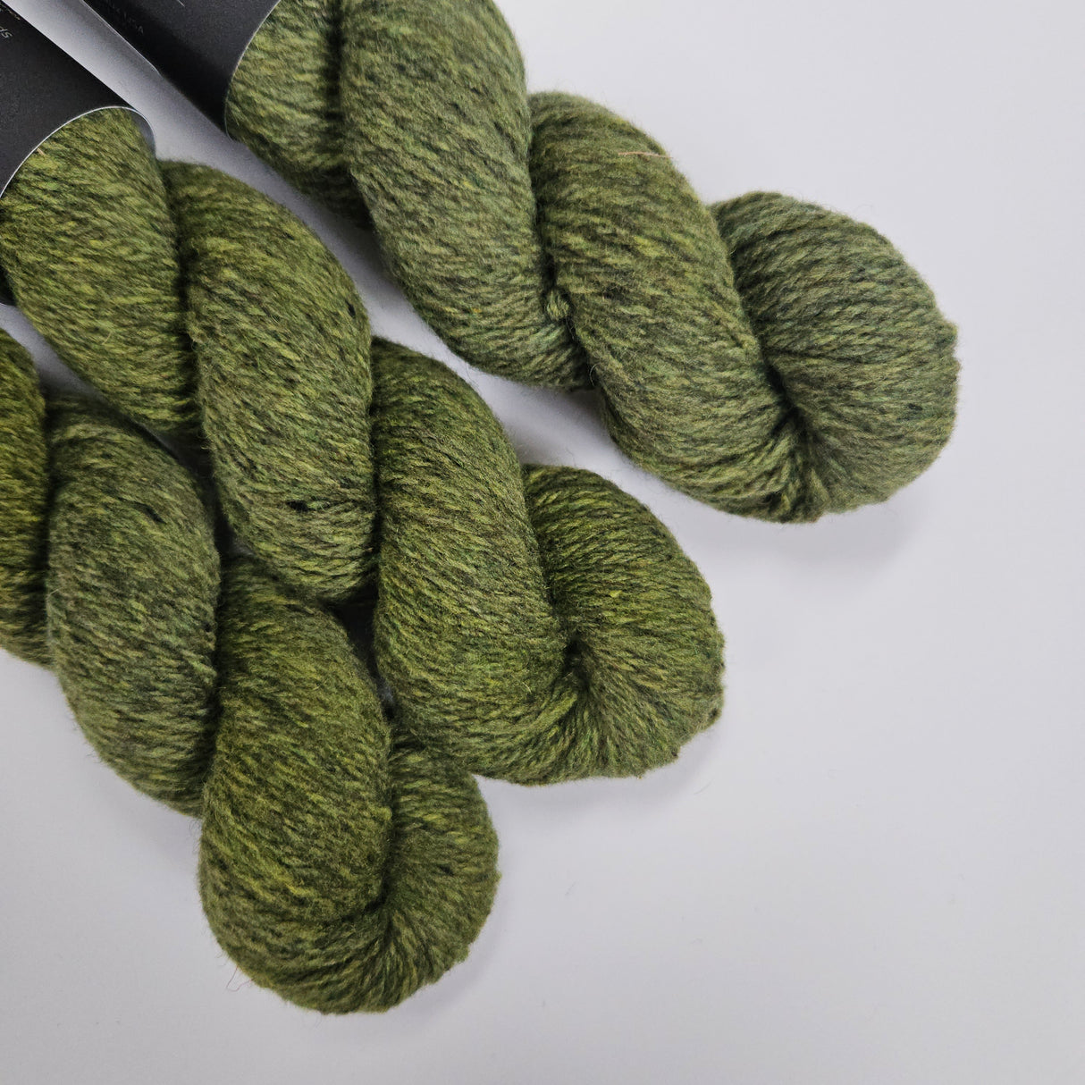 Julie Asselin | Nurtured Worsted