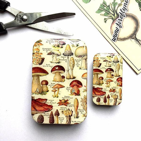 Firefly Notes | Notions Tin Large
