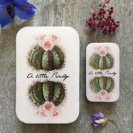 Firefly Notes | Notions Tin Large