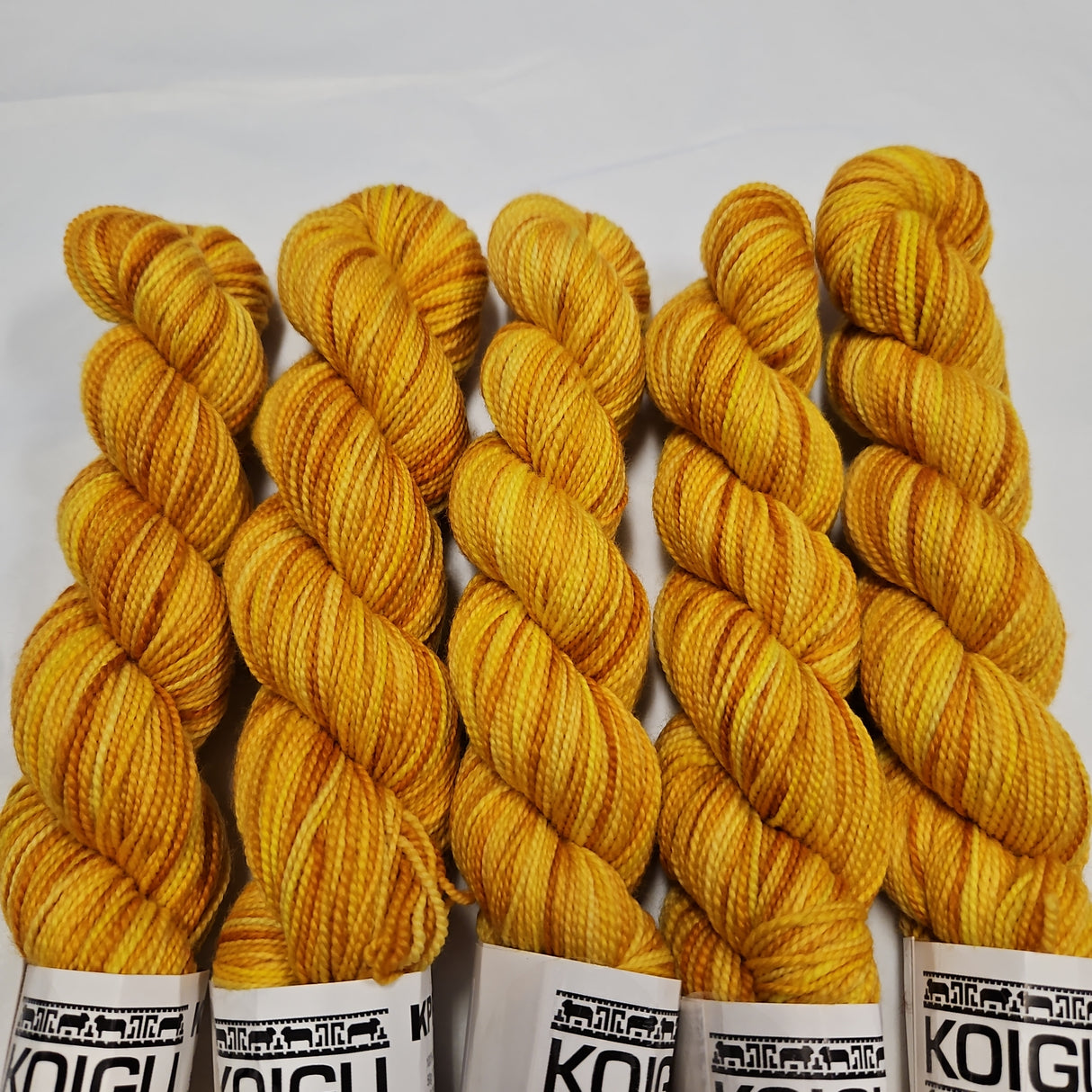 Koigu Painter's Palette Premium Merino (KPPPM & KPM)