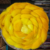 Koigu | Merino Roving