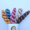Campfiber Yarns | Set of 5 Minis
