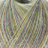 Rico Yarns | Make it Mulitcolor