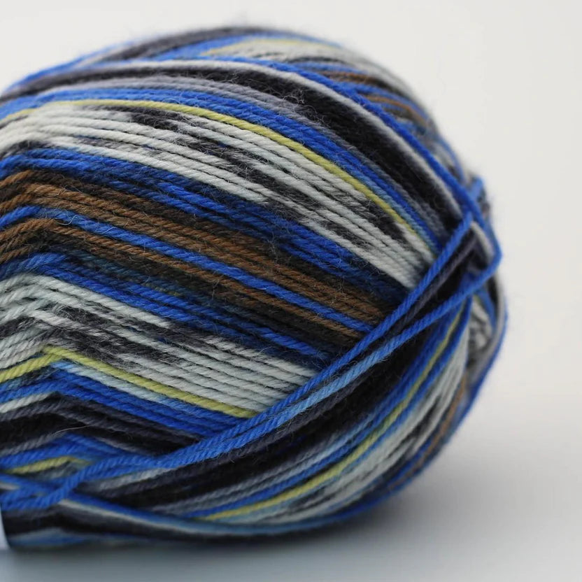 Arne & Carlos | 4 ply sock