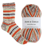 Arne & Carlos | 4 ply sock *NEW COLOURS*