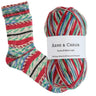 Arne & Carlos | 4 ply sock *NEW COLOURS*