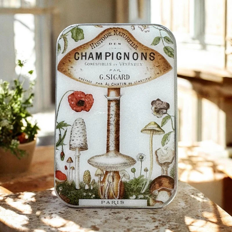 Firefly Notes | Notions Tin Large