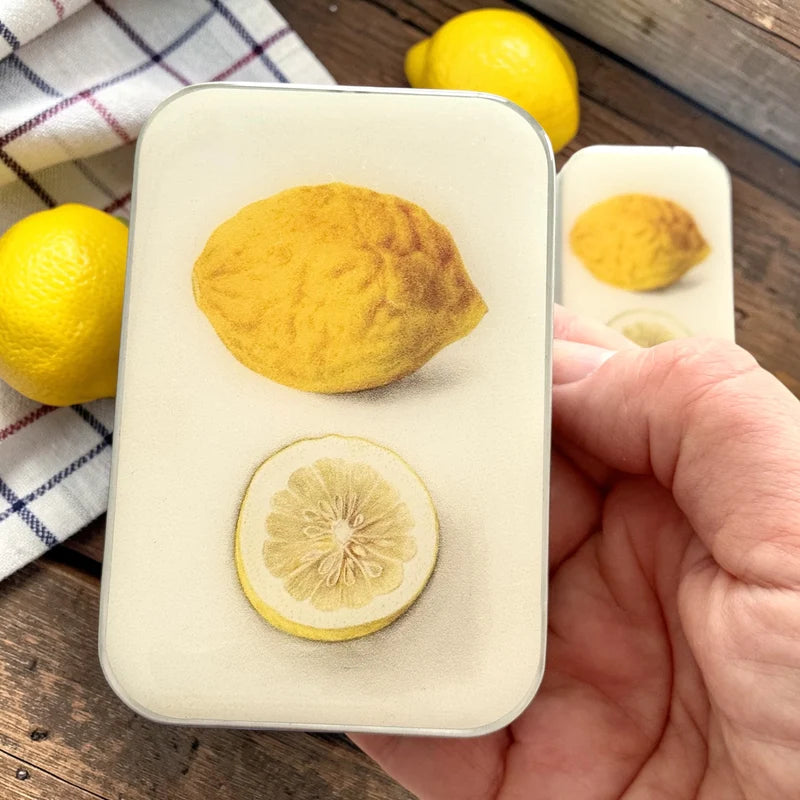 Firefly Notes | Notions Tin Large