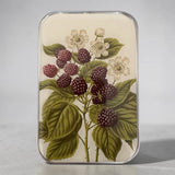 Firefly Notes | Notions Tin Large