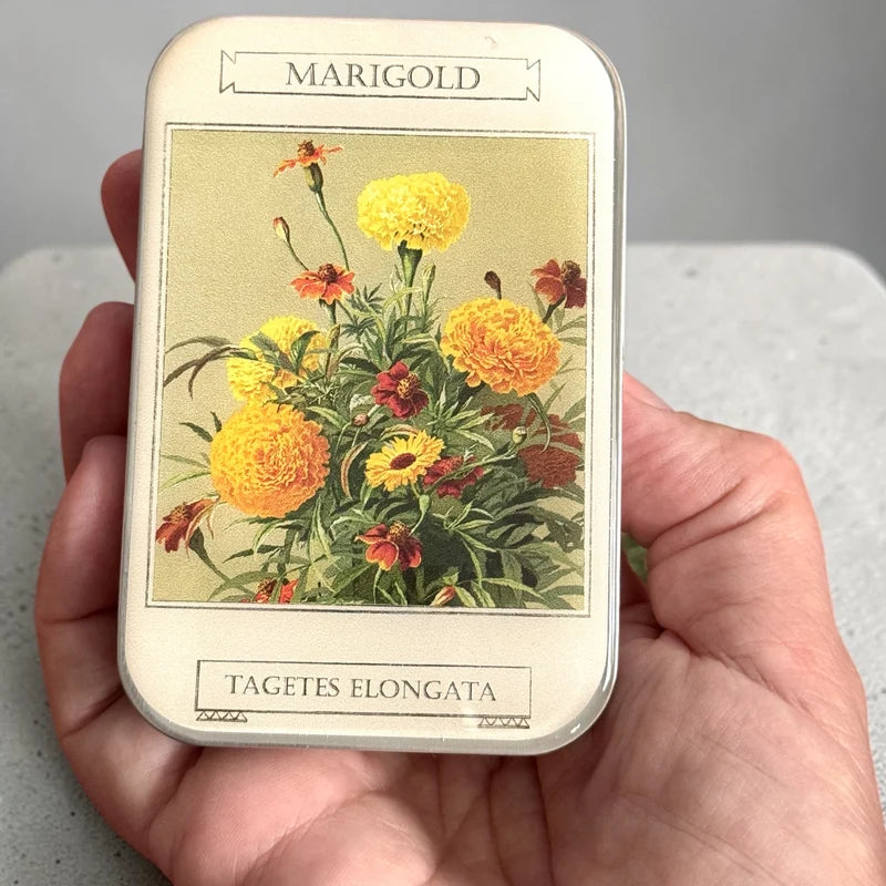 Firefly Notes | Notions Tin Large