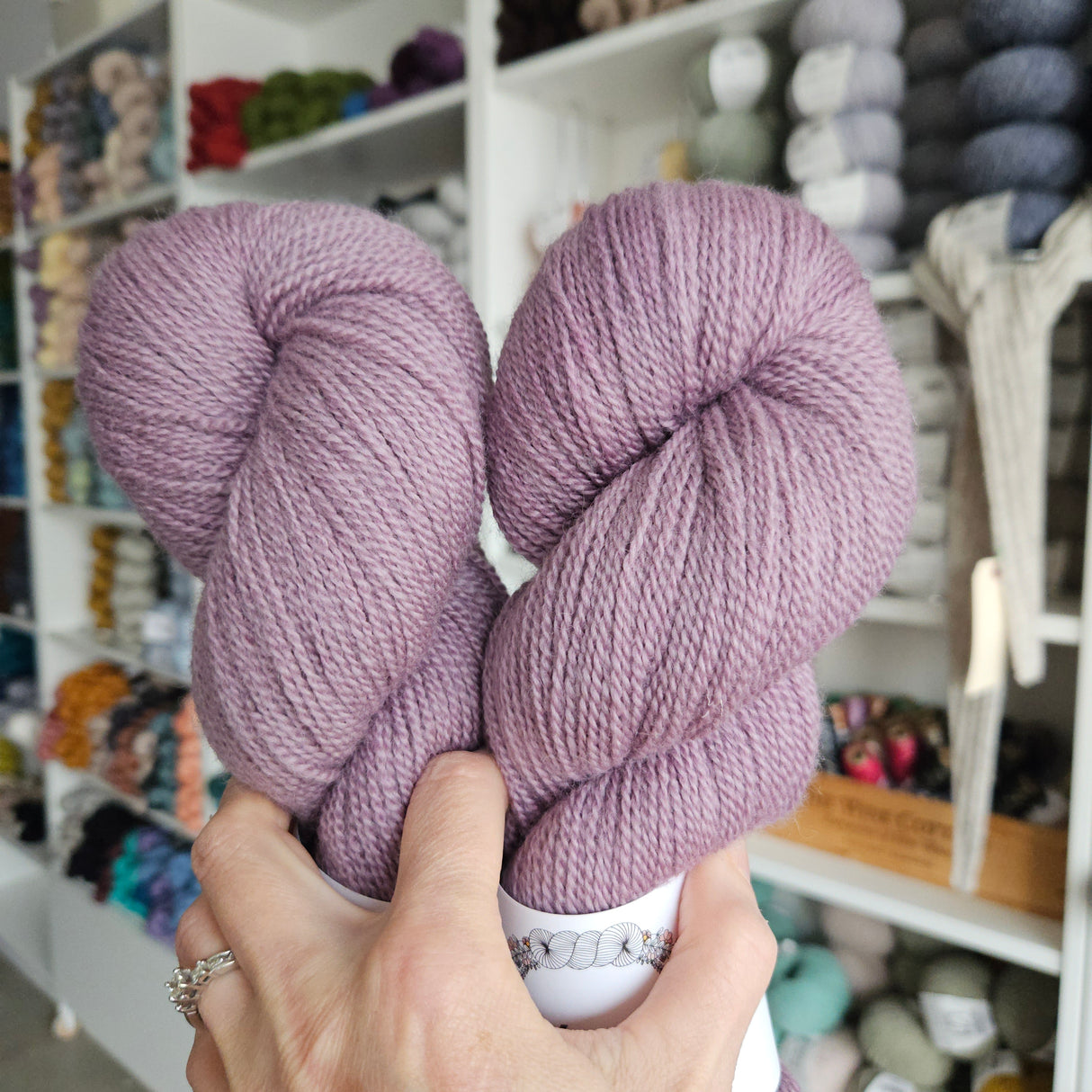 Myrtle Yarn | BFL Fingering