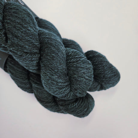 Julie Asselin | Nurtured Worsted