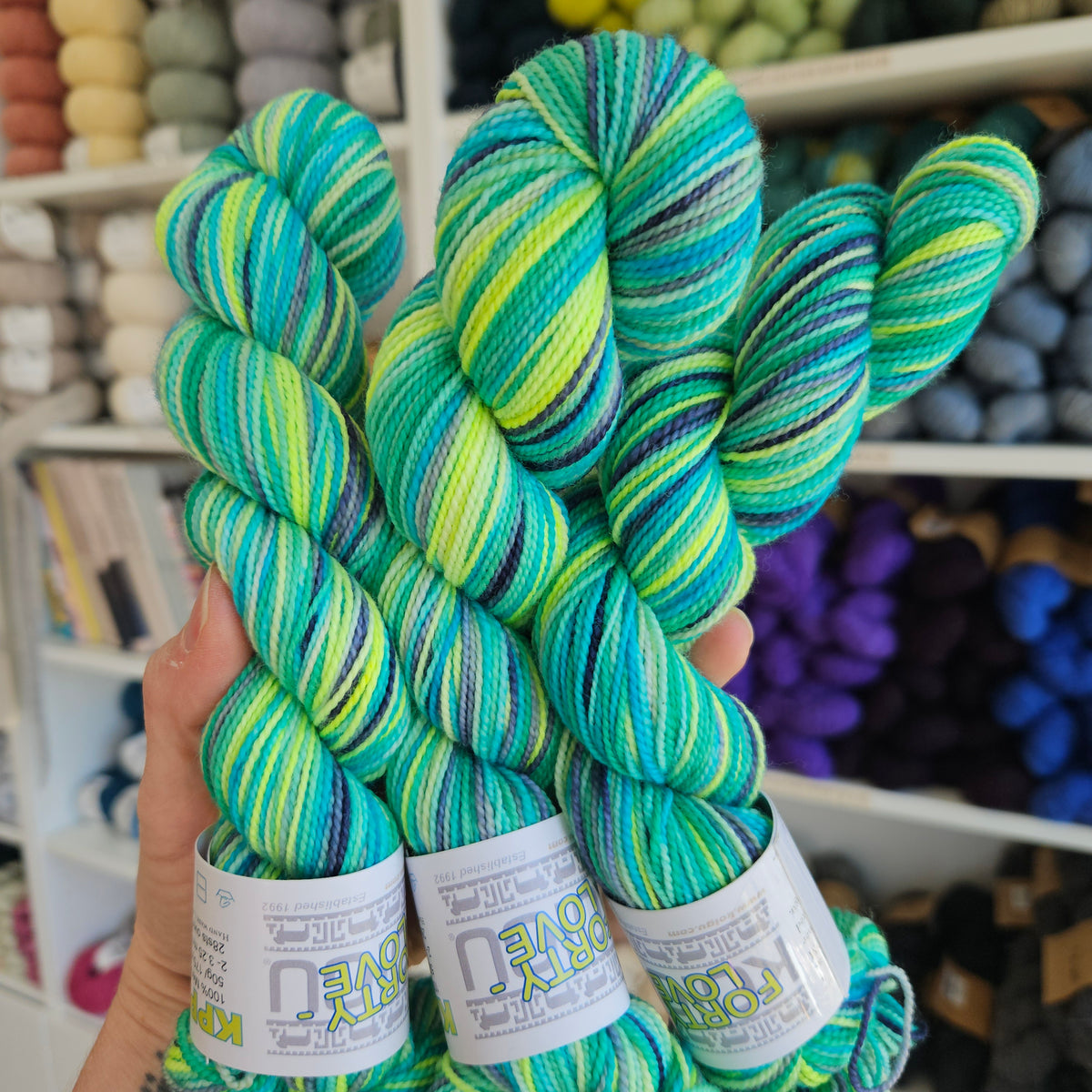 Koigu Painter's Palette Premium Merino (KPPPM & KPM)
