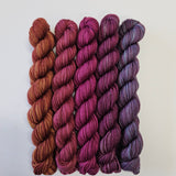SweetGeorgia Yarns | Party of Five Superwash DK | Mini Sets