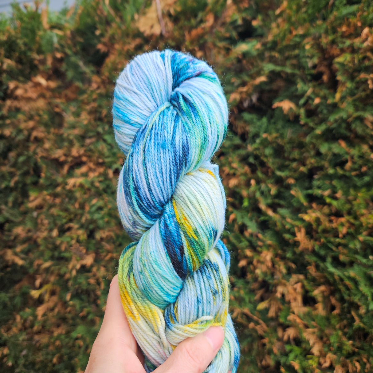 Lichen & Lace | 80/20 Sock