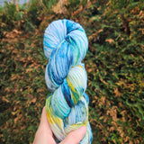 Lichen & Lace | 80/20 Sock