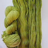 Lichen & Lace | 80/20 Sock