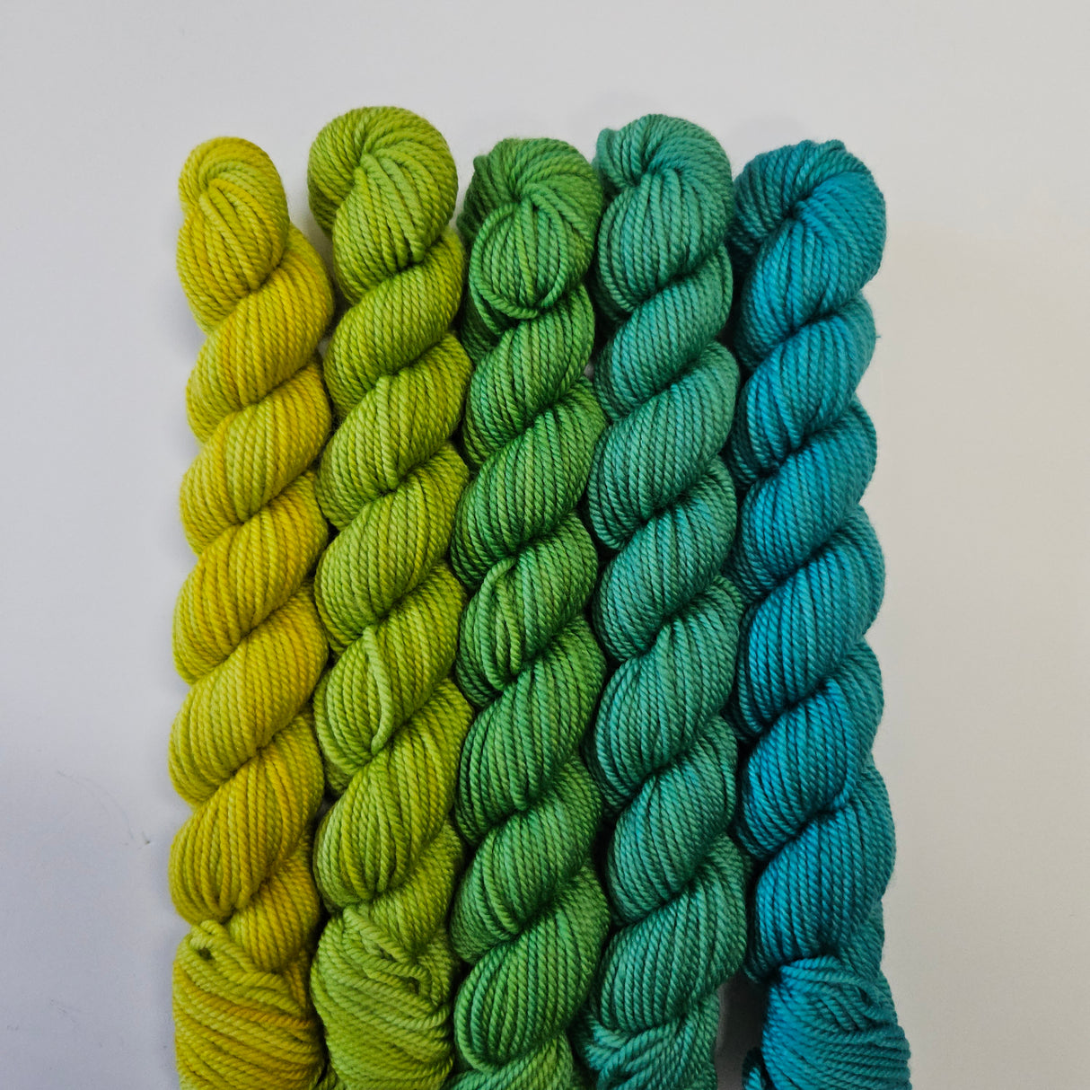 SweetGeorgia Yarns | Party of Five Superwash DK | Mini Sets