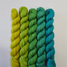 SweetGeorgia Yarns | Party of Five Superwash DK | Mini Sets