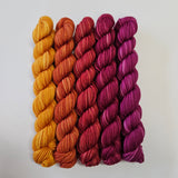 SweetGeorgia Yarns | Party of Five Superwash DK | Mini Sets