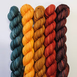 SweetGeorgia Yarns | Party of Five Superwash DK | Mini Sets