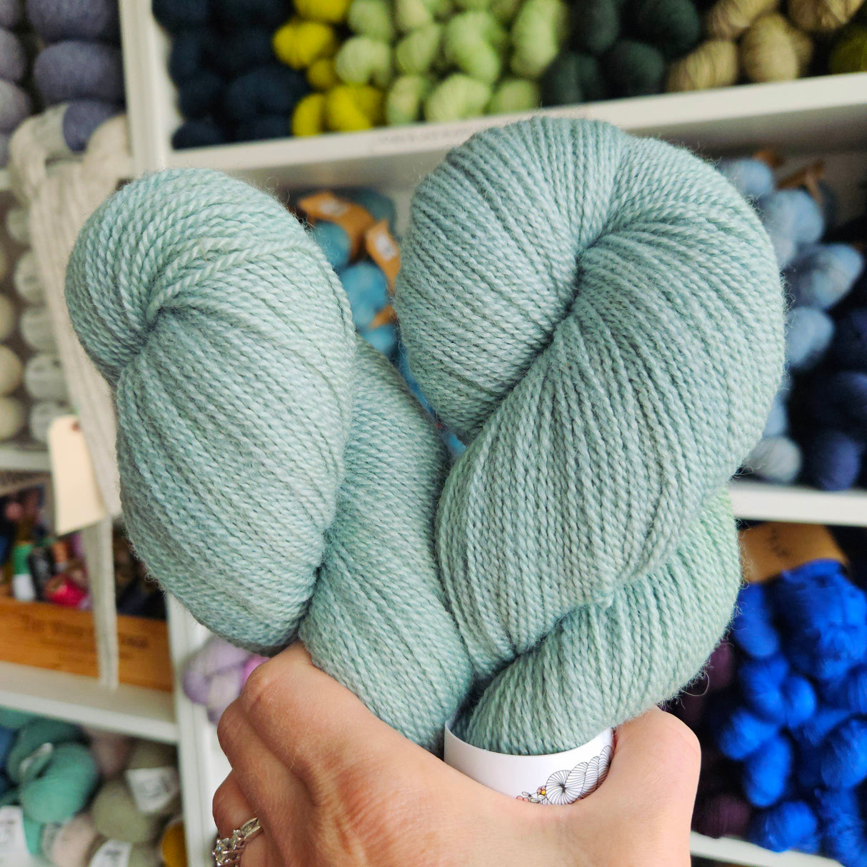 Myrtle Yarn | BFL Fingering