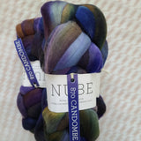 Malabrigo | Nube Combed Top