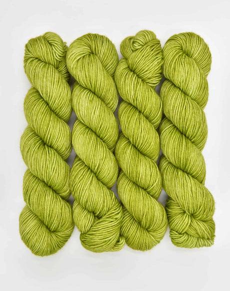 Lady Dye Yarns | SW Merino DK