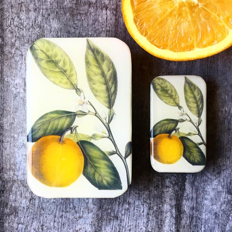 Firefly Notes | Notions Tin Large